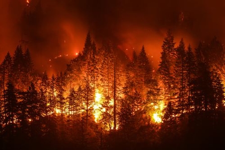 A wildfire burning a forest at night